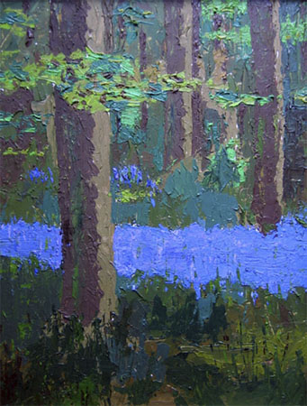 Bluebell wood